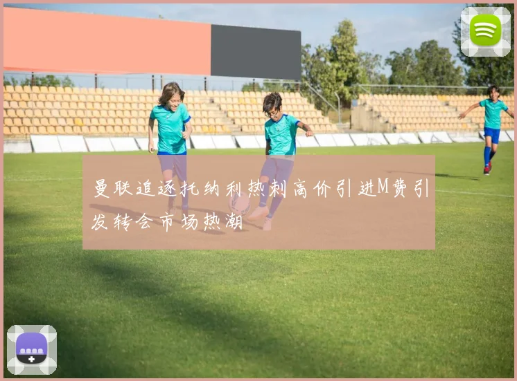 曼联追逐托纳利热刺高价引进M费引发转会市场热潮